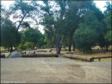 Photo of campsite with a picnic table and fire ring surrounded by mature shade trees.