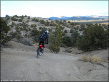 Honda CRF Off-Road Bike at Mount Seigel OHV Trails