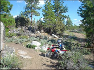Honda CRF Dirtbike at Bull Ranch Creek Trail