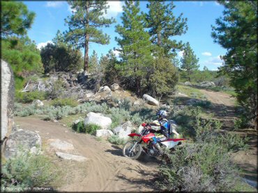 Honda CRF Motorcycle at Bull Ranch Creek Trail