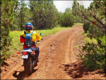 Motorcycle at Maverick Trail