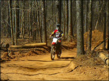Young man wearing Rockstar motocross gear riding Honda dirt bike down ATV trail in the woods.
