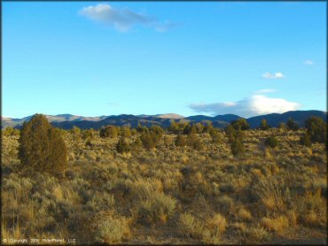 Scenery from Mount Seigel OHV Trails