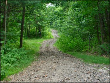 A trail at Sideling Hill Trail