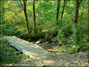 Terrain example at Freetown-Fall River State Forest Trail