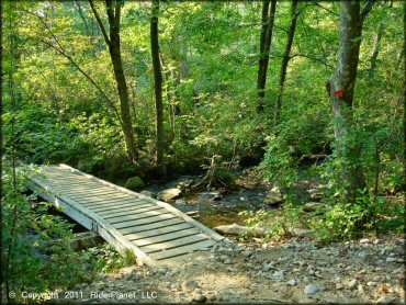 A trail at Freetown-Fall River State Forest Trail