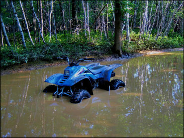 Kawasaki ATV parked in middle of deep water puddle.