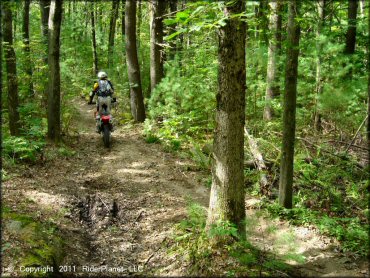 Honda CRF Motorcycle at Franklin Trails