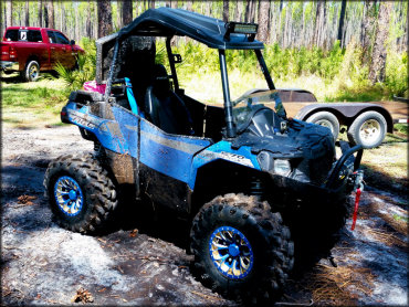 Osceola National Forest Trail