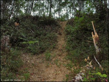 A trail at Trask OHV Area Trail