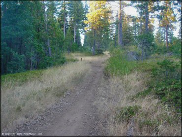 Terrain example at Interface Recreation Trails
