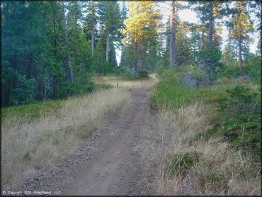 A trail at Interface Recreation Trails