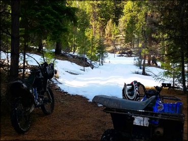 Blue Mountain OHV Trails