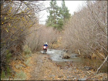 Honda CRF Motorcycle traversing the water at Leviathan Recreation Area Trail