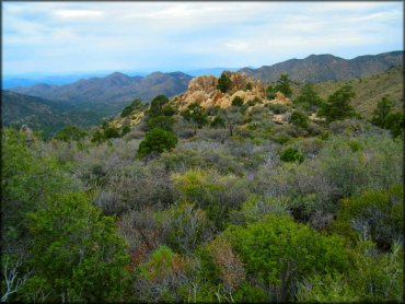 Chloride Mine Trails