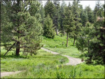 Morrow County OHV Park OHV Area