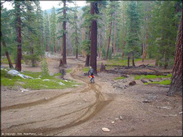 Honda CRF Dirt Bike at Genoa Peak Trail