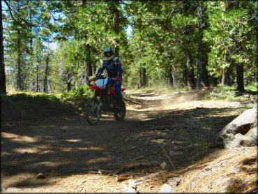 Honda CRF Motorbike at Gold Note Trails