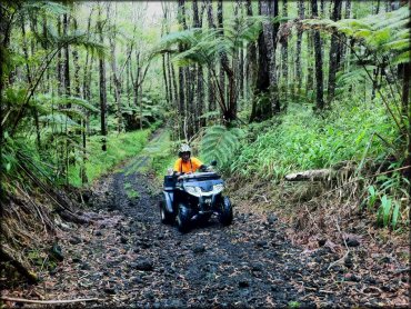 Upper Waiakea ATV and Dirt Bike Park Trail