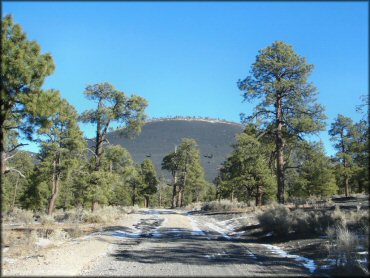 A scenic view of tall hill climb.