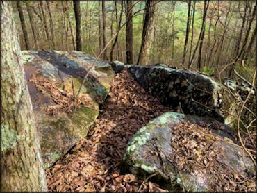 Tackett Creek Trails