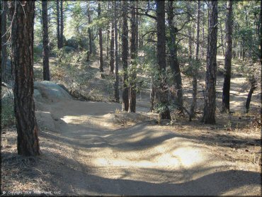 Example of terrain at Alto Pit OHV Area Trail