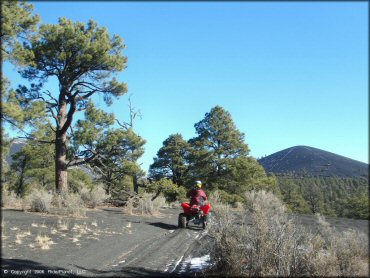Rider on Honda TRX 250EX riding on trail surrounded by pine trees.