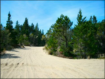 Oregon Dunes NRA - Spinreel to Horsefall Dune Area