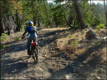 Honda CRF Dirt Bike at Black Springs OHV Network Trail