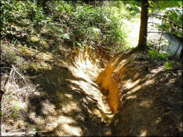 Some terrain at Low Pass Trail