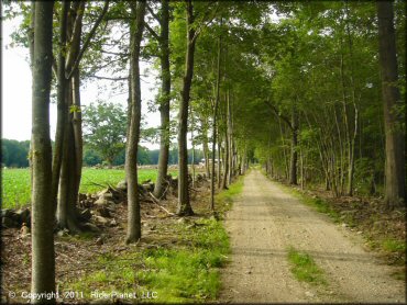 A trail at Pachaug State Forest Trail