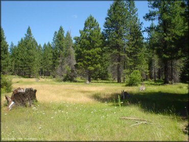 Scenic view of Prospect OHV Trail System