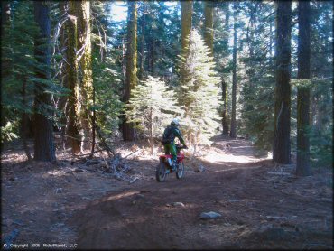 Honda CRF Trail Bike at Black Springs OHV Network Trail