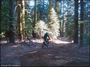 Honda CRF Off-Road Bike at Black Springs OHV Network Trail