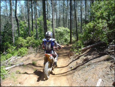 Honda CRF Motorcycle at South Cow Mountain Trail