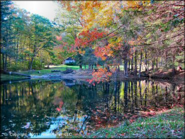 Scenic view of Pittsfield State Forest Trail