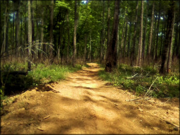 Cedar Springs OHV Trail