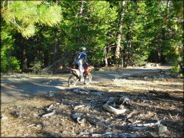 Honda CRF Dirt Bike at Black Springs OHV Network Trail