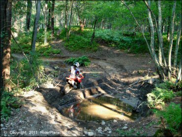Honda CRF Dirt Bike crossing some water at Freetown-Fall River State Forest Trail