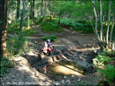 Honda CRF Motorcycle crossing the water at Freetown-Fall River State Forest Trail