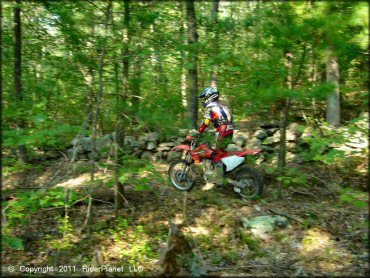 Honda CRF Motorcycle at F. Gilbert Hills State Forest Trail