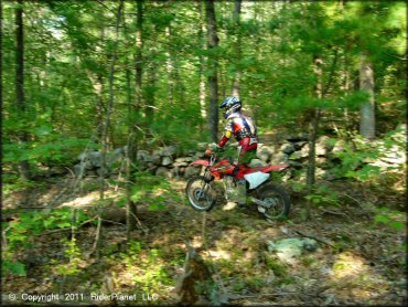 Honda CRF Dirtbike at F. Gilbert Hills State Forest Trail