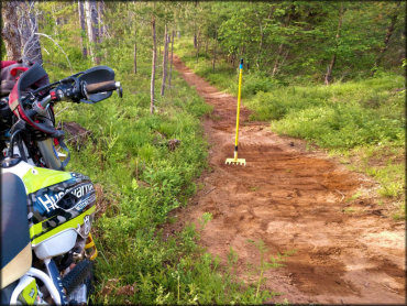 The Tamaracks OHM Trail