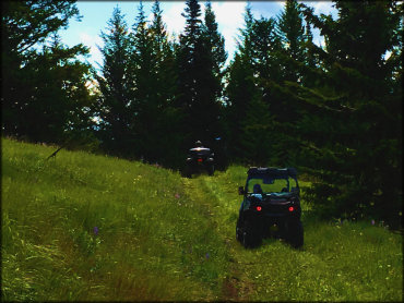 Twin Sisters and Mack King Trails