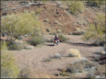 Honda CRF Motorbike at Standard Wash Trail