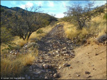 A rocky trail at Santa Rita OHV Routes Trail