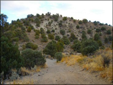 Terrain example at Mount Seigel OHV Trails