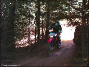 Honda CRF Motorcycle at Gold Note Trails