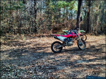 Juderman's ATV Park Trail