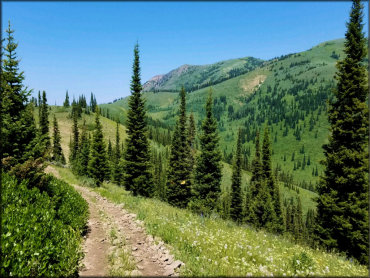 Caribou Loop Trail